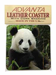 Beautiful Panda Bear Single Leather Photo Coaster