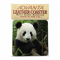 Beautiful Panda Bear Single Leather Photo Coaster