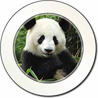 Beautiful Panda Bear Car or Van Permit Holder/Tax Disc Holder