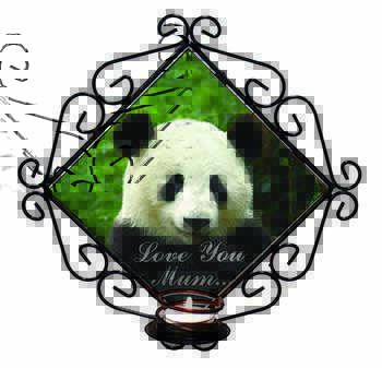 Panda Bear 