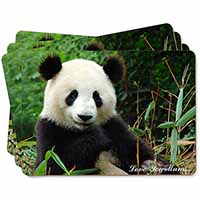 Panda Bear 