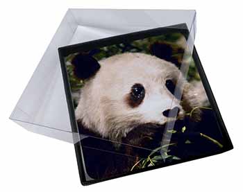 4x Panda Bear Picture Table Coasters Set in Gift Box