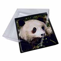 4x Panda Bear Picture Table Coasters Set in Gift Box