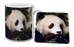 Panda Bear Mug and Coaster Set