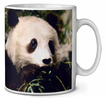 Panda Bear Ceramic 10oz Coffee Mug/Tea Cup