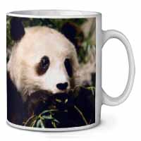 Panda Bear Ceramic 10oz Coffee Mug/Tea Cup