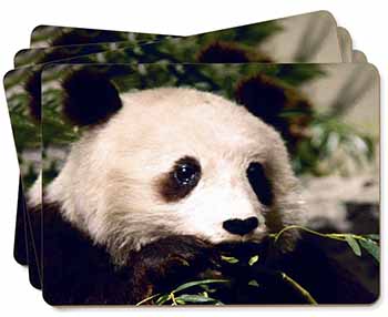 Panda Bear Picture Placemats in Gift Box