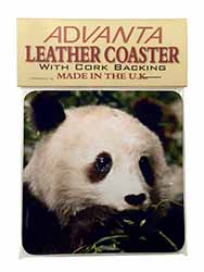 Panda Bear Single Leather Photo Coaster