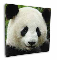 Face of a Giant Panda Bear Square Canvas 12"x12" Wall Art Picture Print