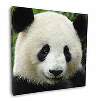 Face of a Giant Panda Bear Square Canvas 12"x12" Wall Art Picture Print