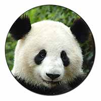 Face of a Giant Panda Bear Fridge Magnet Printed Full Colour