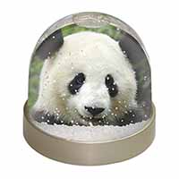 Face of a Giant Panda Bear Snow Globe Photo Waterball