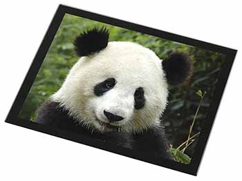 Face of a Giant Panda Bear Black Rim High Quality Glass Placemat