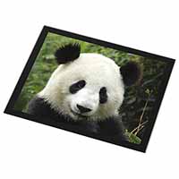 Face of a Giant Panda Bear Black Rim High Quality Glass Placemat