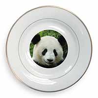 Face of a Giant Panda Bear Gold Rim Plate Printed Full Colour in Gift Box