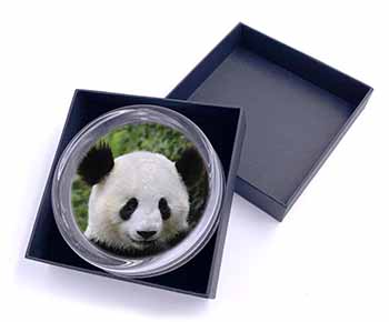 Face of a Giant Panda Bear Glass Paperweight in Gift Box