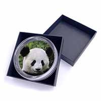 Face of a Giant Panda Bear Glass Paperweight in Gift Box
