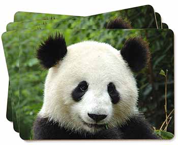 Face of a Giant Panda Bear Picture Placemats in Gift Box