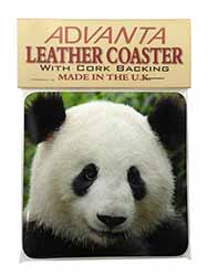 Face of a Giant Panda Bear Single Leather Photo Coaster