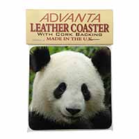 Face of a Giant Panda Bear Single Leather Photo Coaster