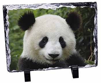 Face of a Giant Panda Bear, Stunning Photo Slate