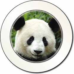 Face of a Giant Panda Bear Car or Van Permit Holder/Tax Disc Holder