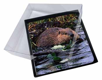 4x River Beaver Picture Table Coasters Set in Gift Box