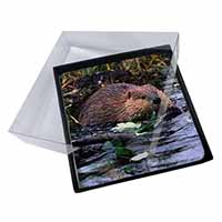 4x River Beaver Picture Table Coasters Set in Gift Box