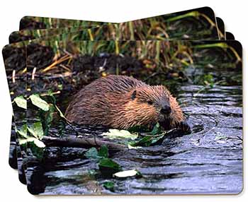 River Beaver Picture Placemats in Gift Box