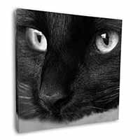 Gorgeous Black Cat Square Canvas 12"x12" Wall Art Picture Print