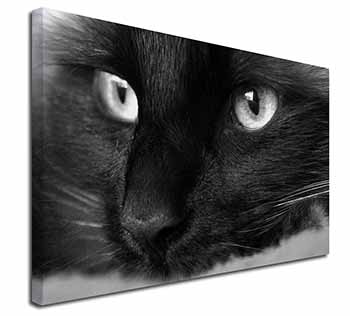 Gorgeous Black Cat Canvas X-Large 30"x20" Wall Art Print