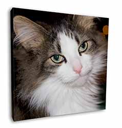 Beautiful Tabby Cat Square Canvas 12"x12" Wall Art Picture Print