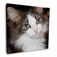 Beautiful Tabby Cat Square Canvas 12"x12" Wall Art Picture Print