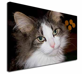 Beautiful Tabby Cat Canvas X-Large 30"x20" Wall Art Print