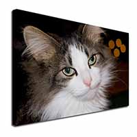 Beautiful Tabby Cat Canvas X-Large 30"x20" Wall Art Print