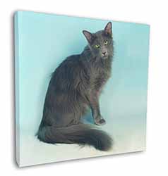 Silver Grey Javanese Cat Square Canvas 12"x12" Wall Art Picture Print