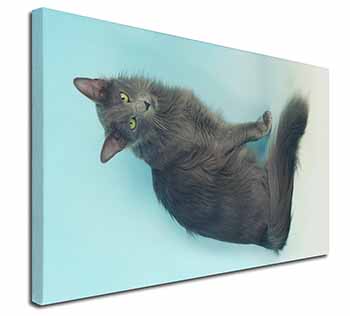 Silver Grey Javanese Cat Canvas X-Large 30"x20" Wall Art Print