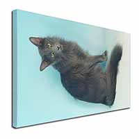 Silver Grey Javanese Cat Canvas X-Large 30"x20" Wall Art Print