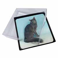 4x Silver Grey Javanese Cat Picture Table Coasters Set in Gift Box
