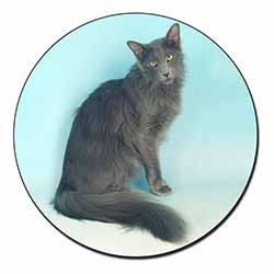 Silver Grey Javanese Cat Fridge Magnet Printed Full Colour