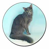 Silver Grey Javanese Cat Fridge Magnet Printed Full Colour