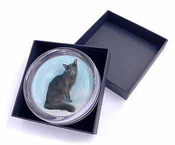 Silver Grey Javanese Cat Glass Paperweight in Gift Box