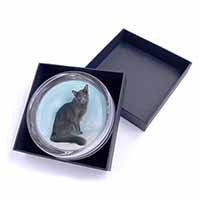 Silver Grey Javanese Cat Glass Paperweight in Gift Box