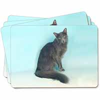 Silver Grey Javanese Cat Picture Placemats in Gift Box