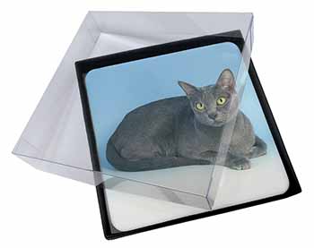 4x Silver Grey Thai Korat Cat Picture Table Coasters Set in Gift Box
