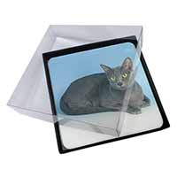 4x Silver Grey Thai Korat Cat Picture Table Coasters Set in Gift Box