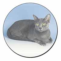 Silver Grey Thai Korat Cat Fridge Magnet Printed Full Colour