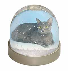 Silver Grey Thai Korat Cat Snow Globe Photo Waterball