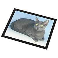 Silver Grey Thai Korat Cat Black Rim High Quality Glass Placemat