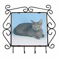 Silver Grey Thai Korat Cat Wrought Iron Key Holder Hooks